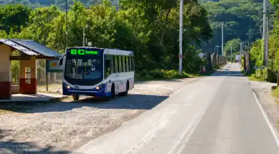 Atacaron a un chofer de Saeta con un cuchillo y rompieron el colectivo: cayeron presos
