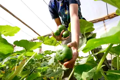 Misiones se prepara para la cumbre que definirá el futuro del agro sostenible