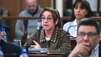 Sacudón en el Senado: Patricia Díaz se fue del bloque y lanzó Hacer Futuro