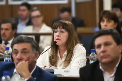 Otra baja en el PJ: la senadora Patricia Díaz arma su propio bloque y agita la interna