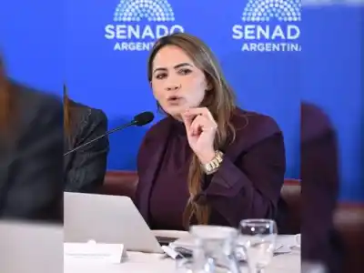 El plan de una senadora misionera para convertir los bosques en dinero: qué propone la nueva ley