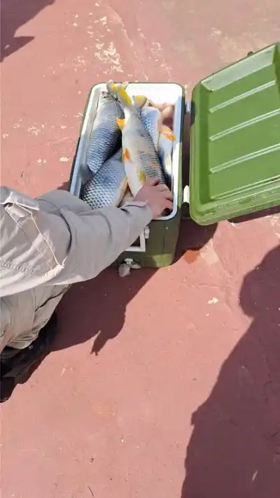 Cazados con 39 bogas: dos pescadores paraguayos operaban en una reserva natural de Corrientes