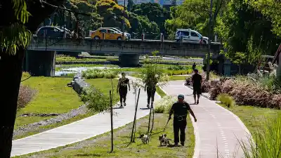 Perros sueltos en plazas y ciclovías: la ley jujeña que pocos conocen