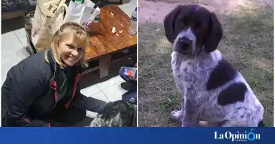El perro que cruzó cuatro provincias para volver a los brazos de su dueña: la historia de un reencuentro que emociona