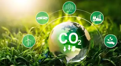 El plan de Royón para que Argentina no quede afuera del negocio millonario del carbono