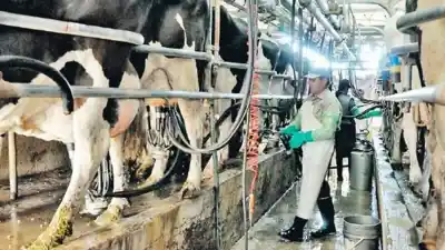 El campo argentino: ¿crecimiento real o concentración y precarización encubierta?