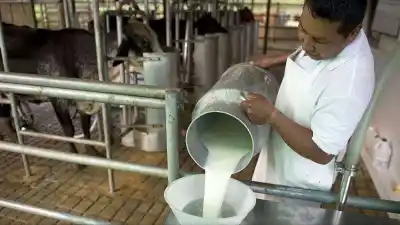 El campo produce, pero sus trabajadores ya no pueden comprar lo que cosechan: la radiografía que estremece