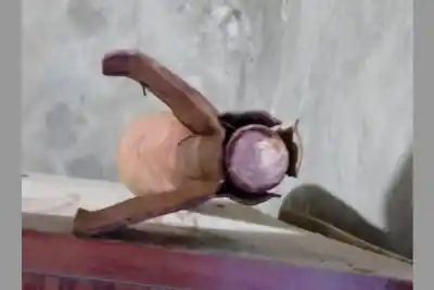 Encontró un artefacto explosivo en la basura y lo guardó en su casa