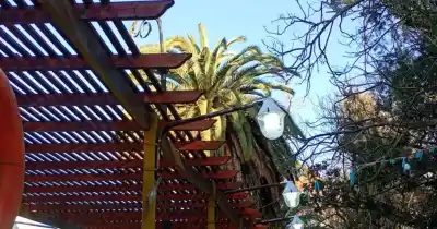 Preocupación por las luces del Bosque: ¿quién paga la factura?