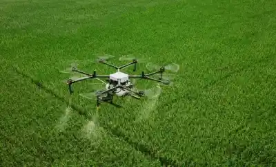Drones en el campo: así será el curso que dicta la Universidad Popular en Isla Verde