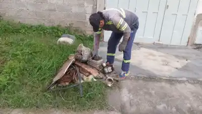 Dengue: el operativo que busca frenar al mosquito en el barrio Castañeda