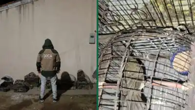 Allanamiento en la Capital: hallaron 17 aves silvestres en cautiverio y secuestraron tramperas