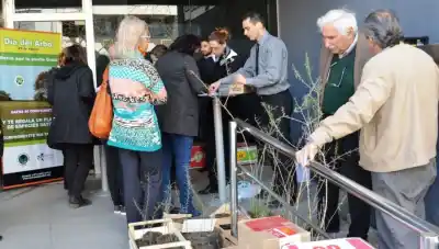 Día del Árbol: regalarán plantines de especies nativas en pleno centro de Santa Rosa