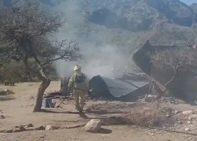 Fuego en un establo de Cortaderas: murió un caballo y sospechan que lo iniciaron a propósito