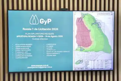 Diez gigantes energéticos se disputan nuevos bloques de Vaca Muerta: ¿cuál será el próximo movimiento?