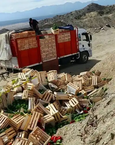 Se llevaban todo: así fue el operativo que frenó a un camión cargado de pimientos en San Juan