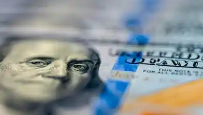 Dólar en calma: oficial, MEP y CCL, ¿cuánto cuestan hoy?