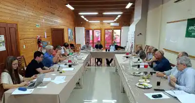 Aserraderos de Misiones y Corrientes al borde del colapso: la energía y la falta de gas ponen en jaque a las PyMEs forestales