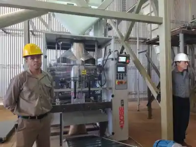 La industria misionera se prepara para su gran semana: ¿qué pasará en Oberá, Puerto Rico y Posadas?