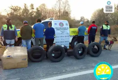 Operativo Lapacho en Monteros: “Secuestran juguetes, vajillas y cubiertas”