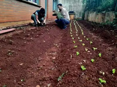 Huertas Escolares: el programa que transforma patios en aulas verdes llegó a la Escuela 202