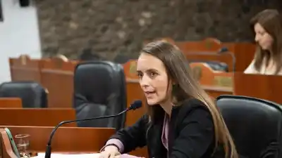 Facturas de $400.000: la senadora Blas lanza un pedido urgente y revela qué espera del nuevo esquema
