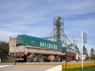 El tren movilizó más de 3.300 toneladas en una semana: ¿qué productos viajaron?