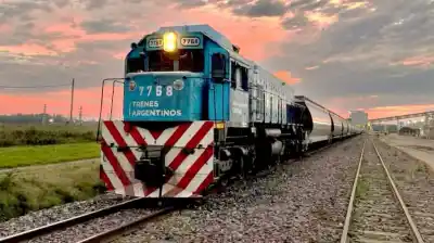 Privatización de Belgrano Cargas: la expectativa del campo que podría cambiar el transporte de granos
