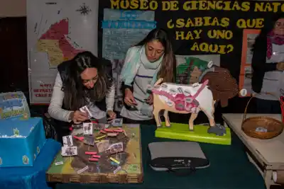 Córdoba ya tiene a sus 128 proyectos finalistas de la Feria de Ciencias