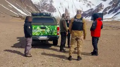 Un guanaco herido fue rescatado en Punta de Vacas tras un ataque de perros salvajes