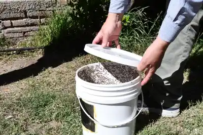 Aprende a proteger tus frutales: capacitación gratuita sobre plagas en La Toma