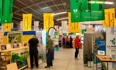 Doblas se prepara para la 29° Expo Apícola: ¿qué novedades trae este año?