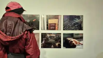 Cultura gratuita en toda La Pampa: qué shows y muestras no te podés perder
