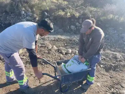 El plan que pondrá a prueba a San Luis Agua: sembraron centeno en un arroyo de Merlo