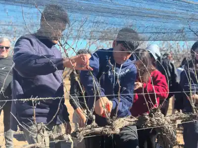 Estudiantes de la Técnica N°6 aprendieron poda de vid y durazneros en Sol Puntano