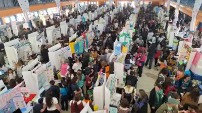 ¿Sabés cuáles son los 20 proyectos que llevarán a San Luis a la Feria de Ciencias nacional?