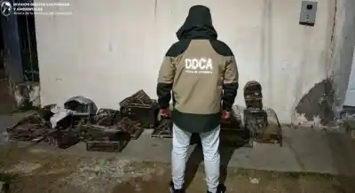 Allanamiento en 111 Viviendas: secuestraron 17 aves silvestres y elementos de caza