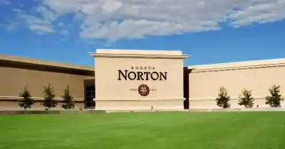 Escándalo en el Valle de Uco: imputan a directivos de Bodega Norton y el motivo es alarmante