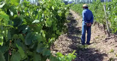 ¿Se acabó el drama? El requisito que enfureció a los productores será revisado