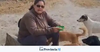 La desesperada lucha de una mujer por conservar a sus perros: el giro inesperado que emocionó a San Juan