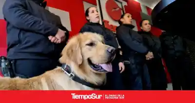 Canicross Patagónico 2026: cómo inscribirse y qué categorías tendrá la carrera con perros en Río Gallegos