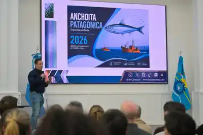 El plan de Chubut para duplicar sus exportaciones de anchoíta y generar más empleo