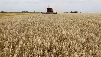 El rebote económico de junio: ¿por qué el crecimiento no llega a todos por igual?