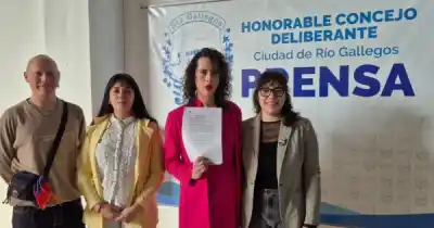 El informe que sacudió al Concejo: las alarmantes cifras de violencia de género en Río Gallegos