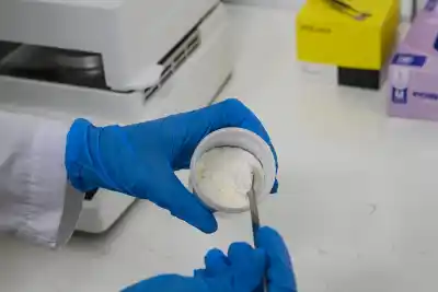 Miel en polvo: el innovador proyecto cordobés que revolucionaría la industria alimentaria