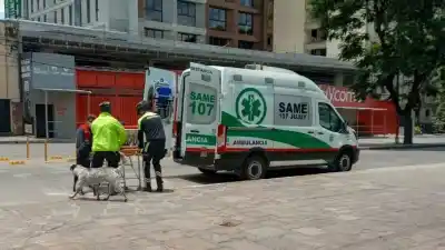 Cayó al lecho del río Xibi Xibi y fue rescatada: qué encontraron los peritos en el puente