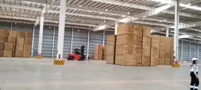 Posadas será el epicentro del debate foresto-industrial: megainversiones y mercados globales en la mira