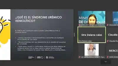 Salud provincial refuerza la prevención del SUH con un conversatorio para equipos sanitarios