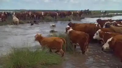 Inundaciones en Santa Fe: un productor denuncia abandono y reclama acciones urgentes