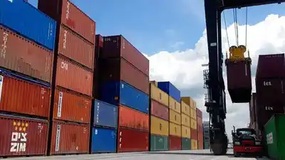 El dato que posiciona a San Juan como líder exportador en Cuyo